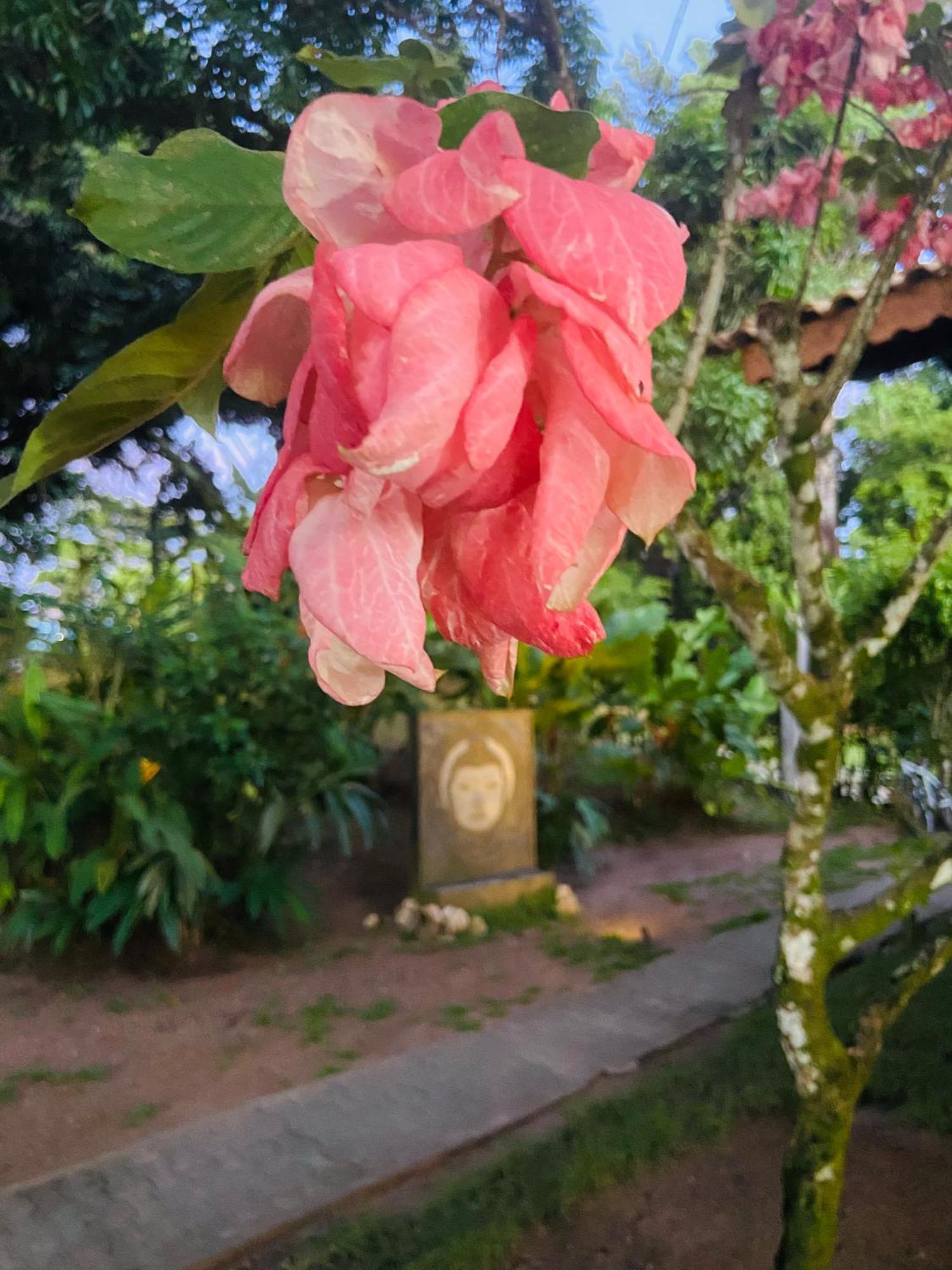 Pousada Coco Dende Velha Boipeba Exterior photo